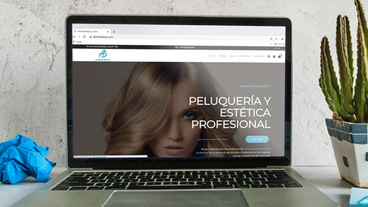 diseño web profesional el ejido