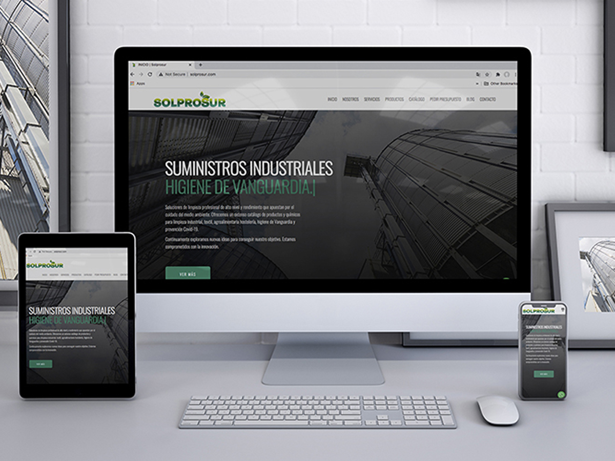 diseño web solprosur