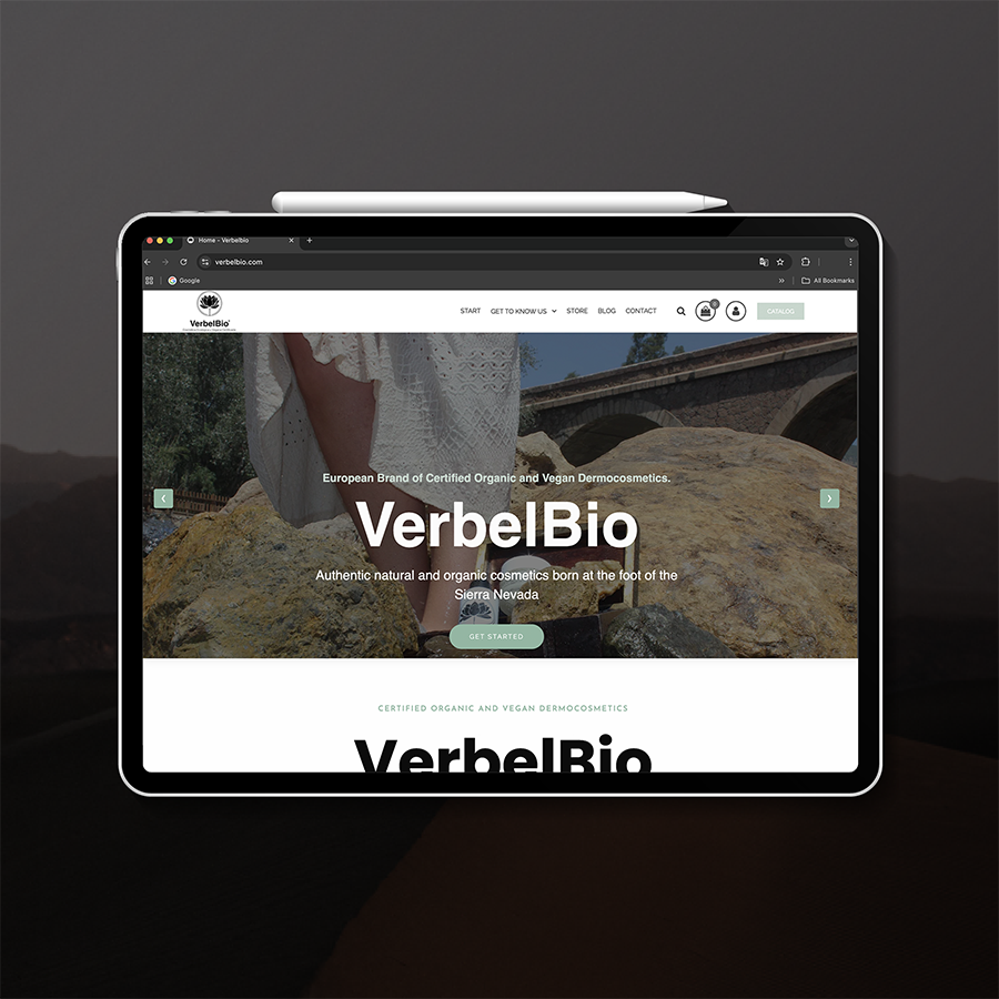 diseño paginas web el Ejido